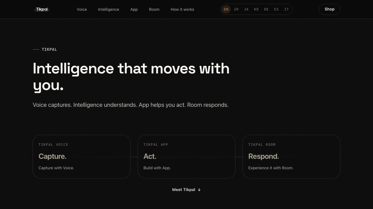 Tikpal website screenshot