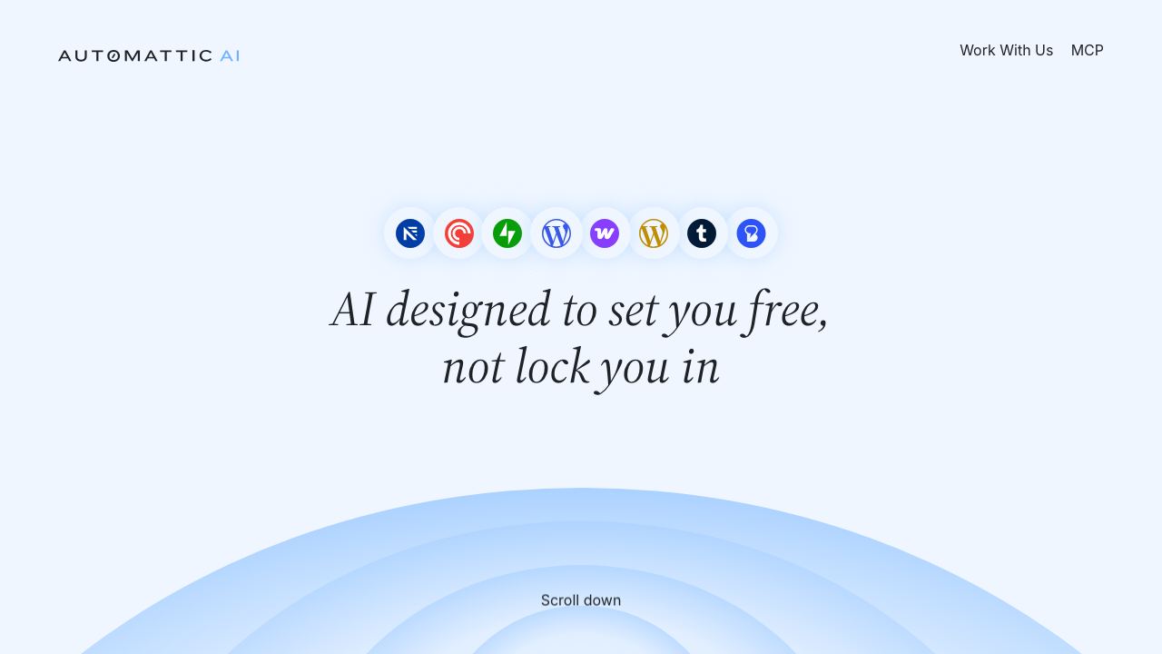 WP.Chat website screenshot