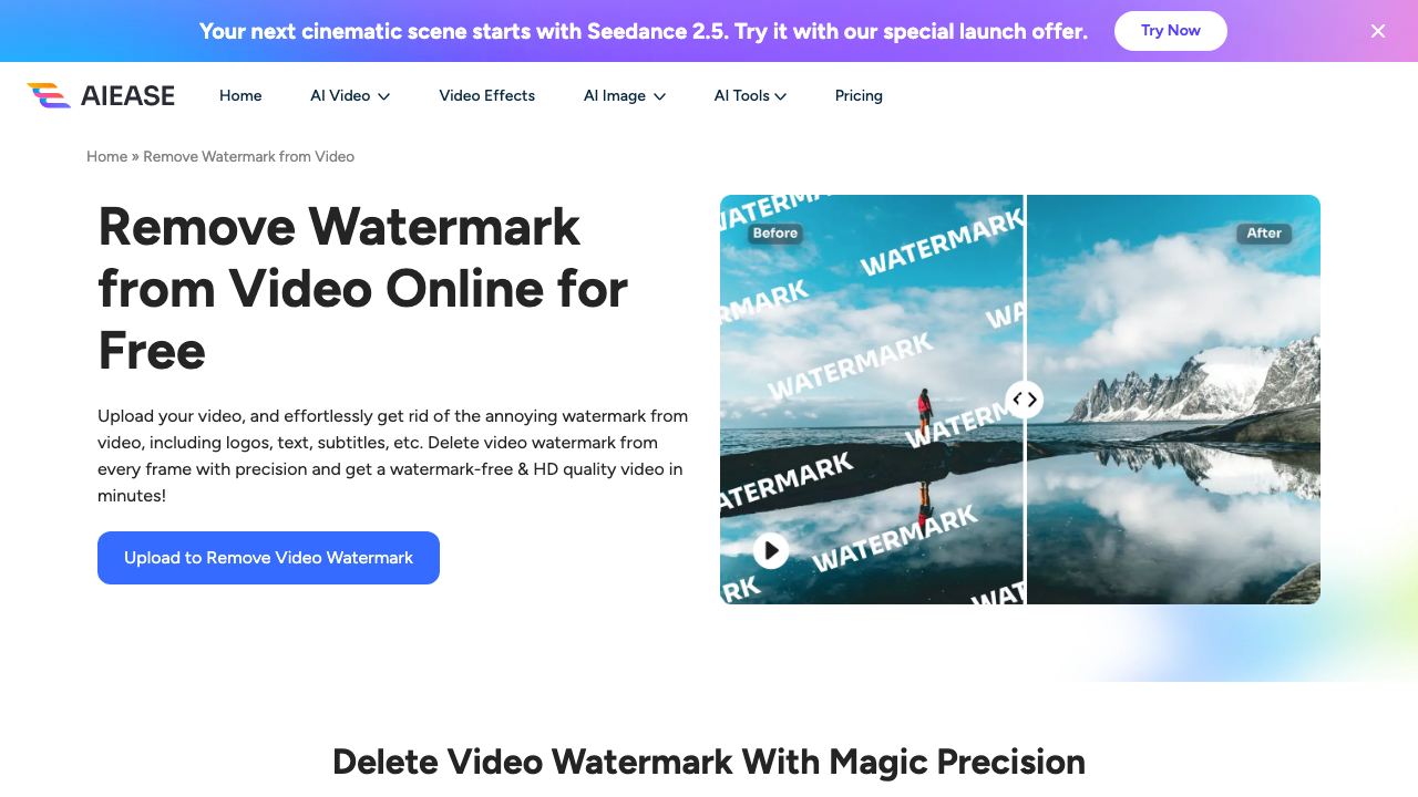 AIEase Video Watermark Remover website screenshot