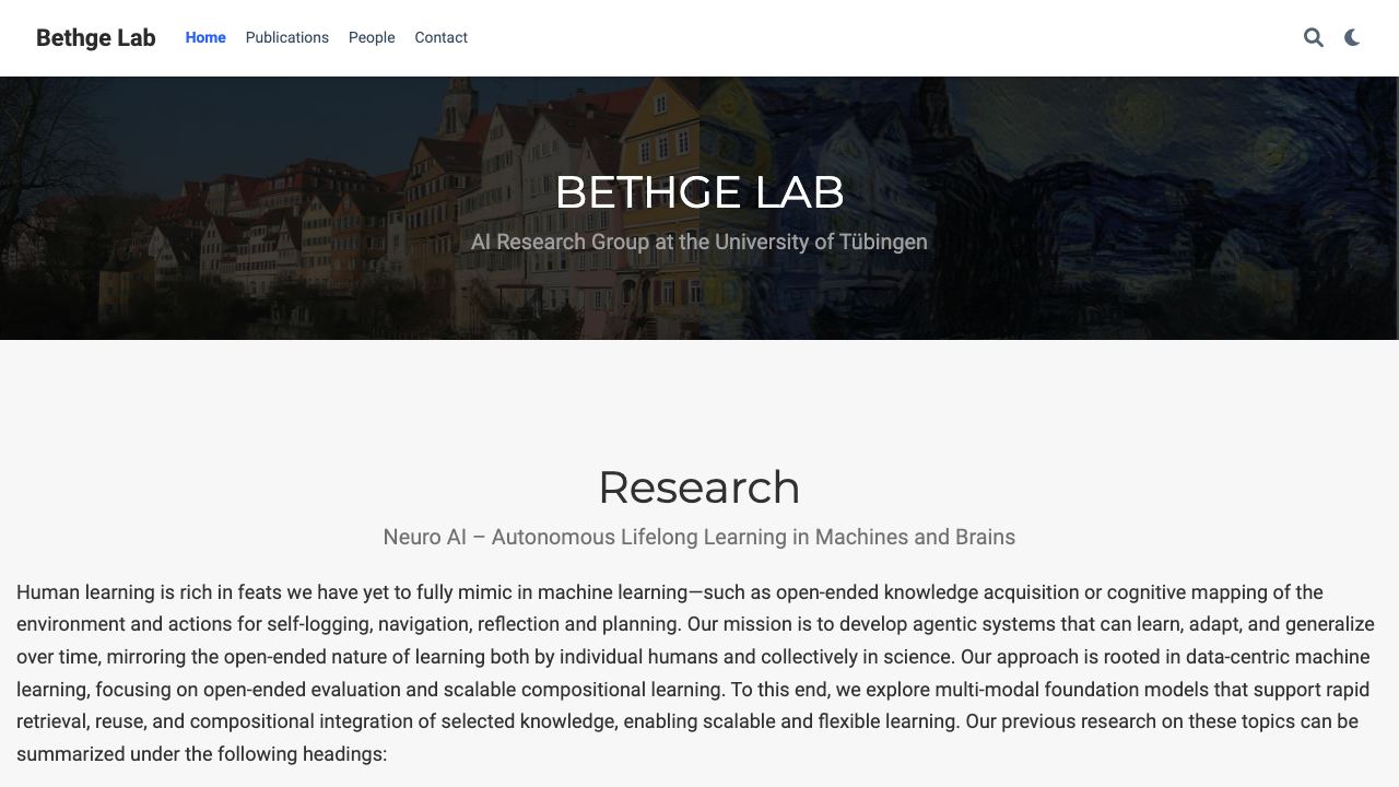bethgelab.org 网站截图