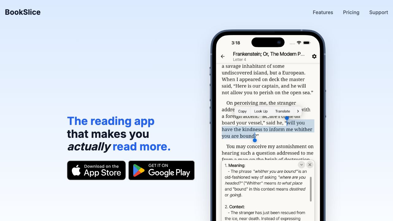 BookSlice 网站截图
