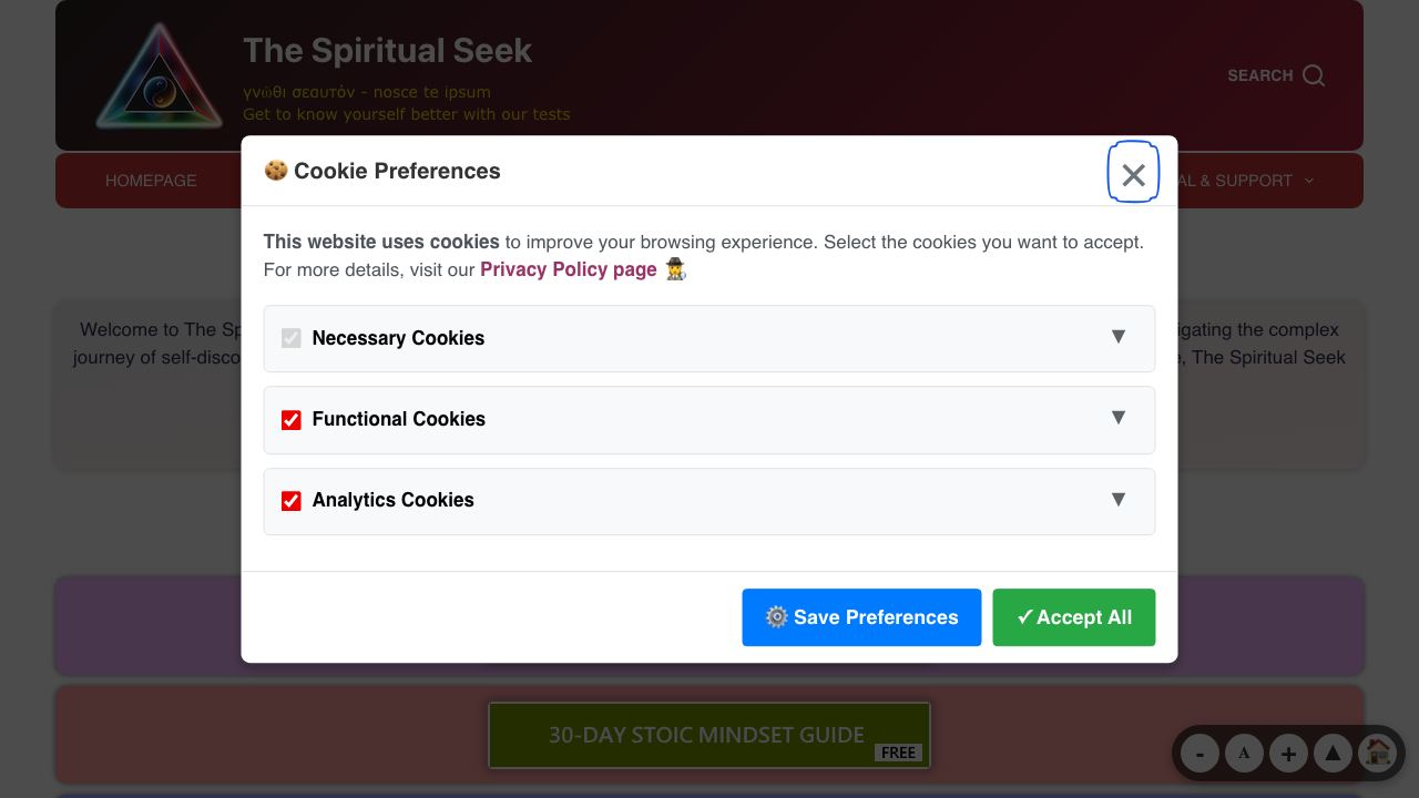 The Spiritual Seek 网站截图