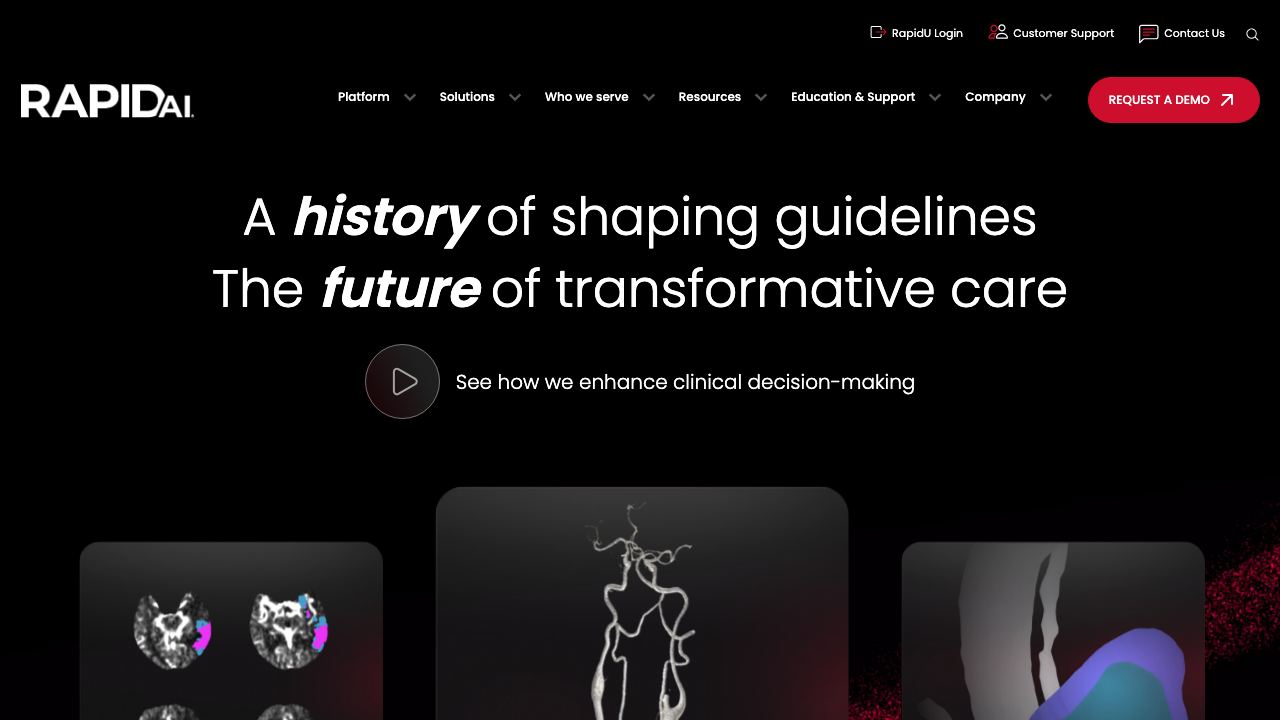 rapidai.com website screenshot