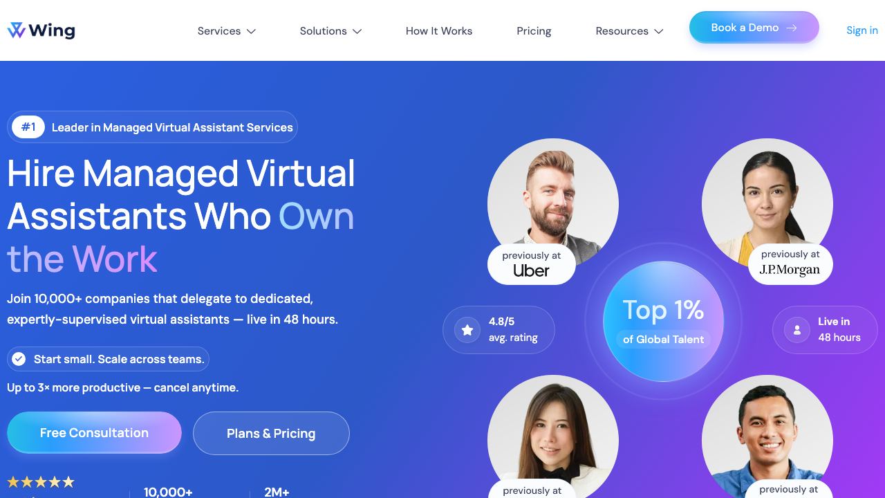 Wing Assistant website screenshot