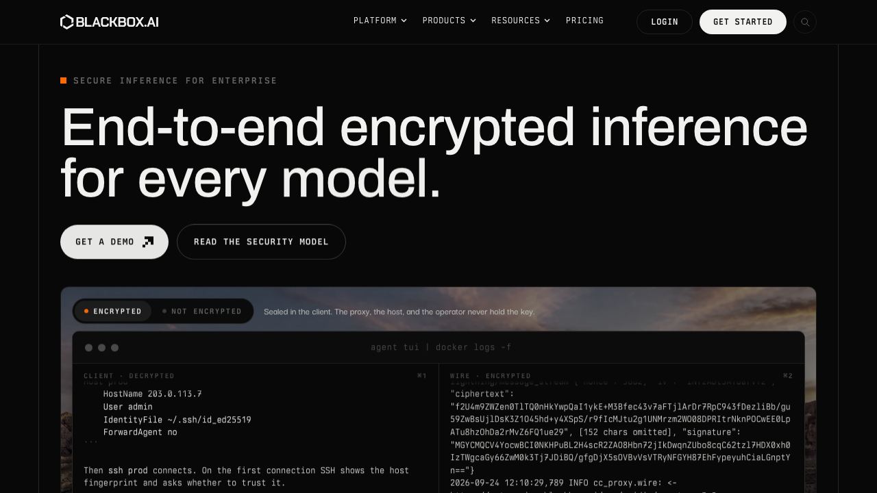 BLACKBOX.AI 网站截图