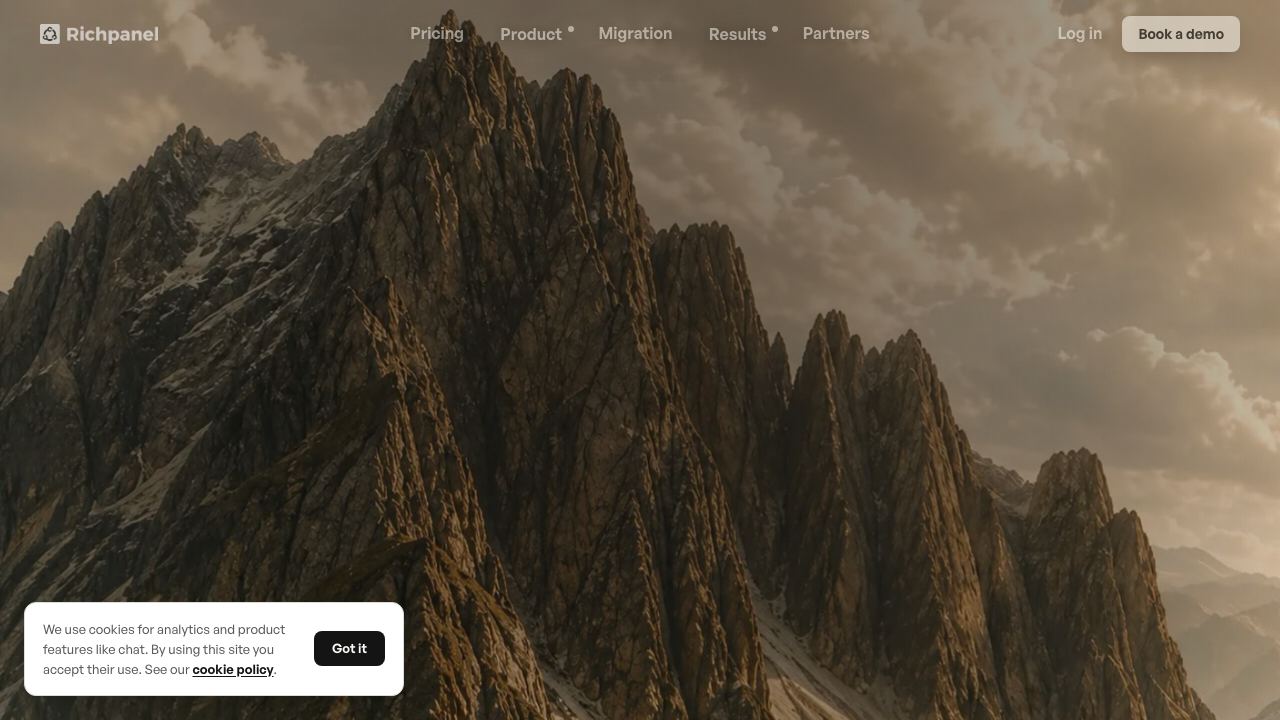 Richpanel website screenshot