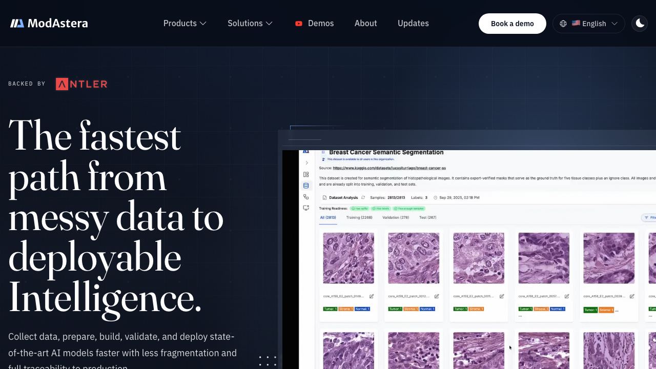 ModAstera website screenshot