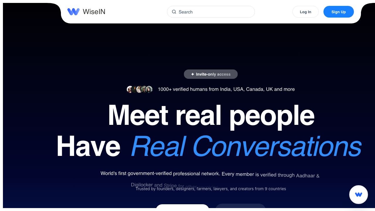 WiseIN 网站截图