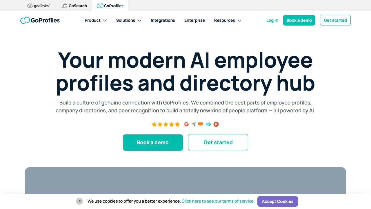 GoProfiles 网站截图