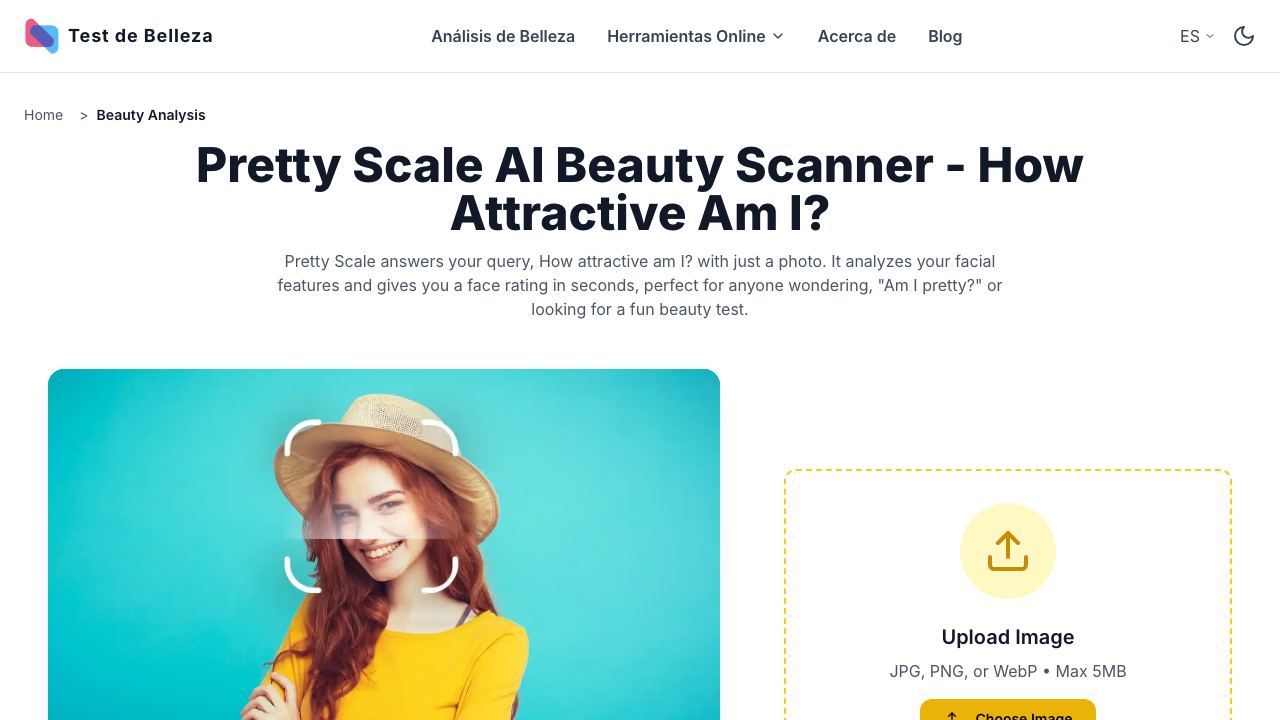 Pretty Scale 网站截图