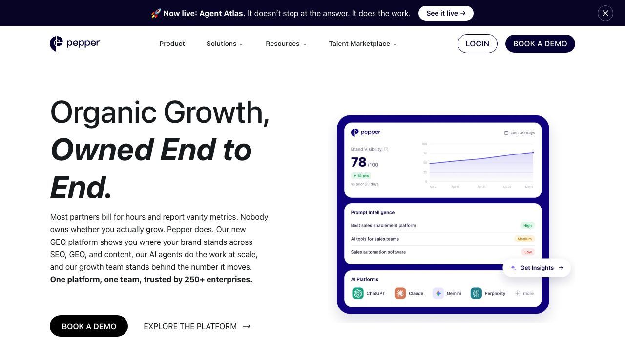 Peppertype.ai 网站截图