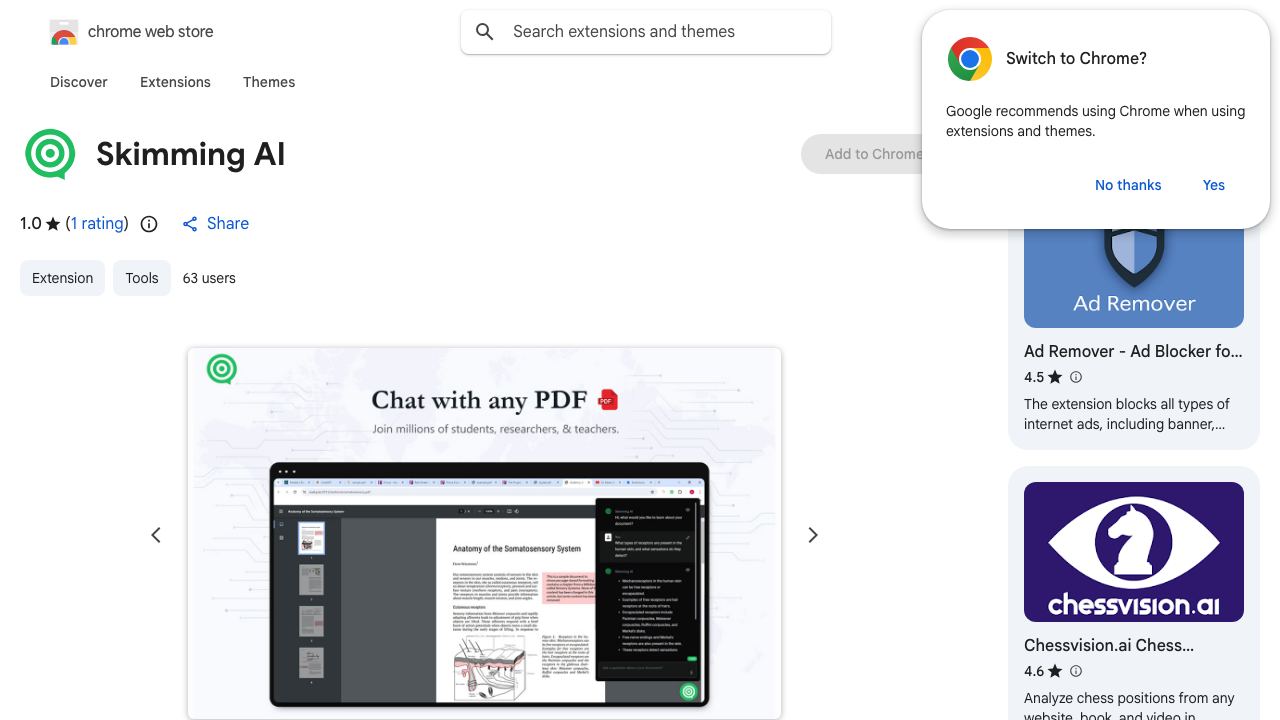 Skimming AI website screenshot