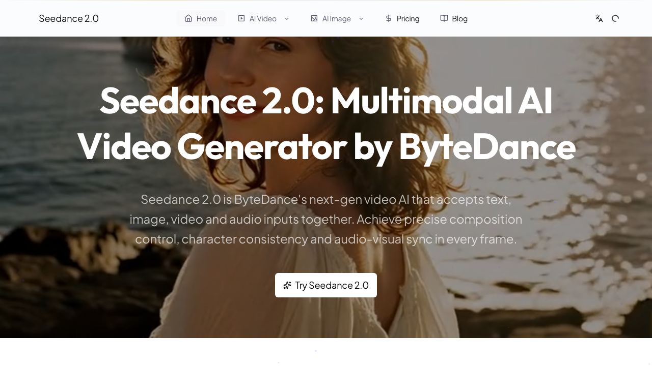 Seedance 2.0-9 网站截图