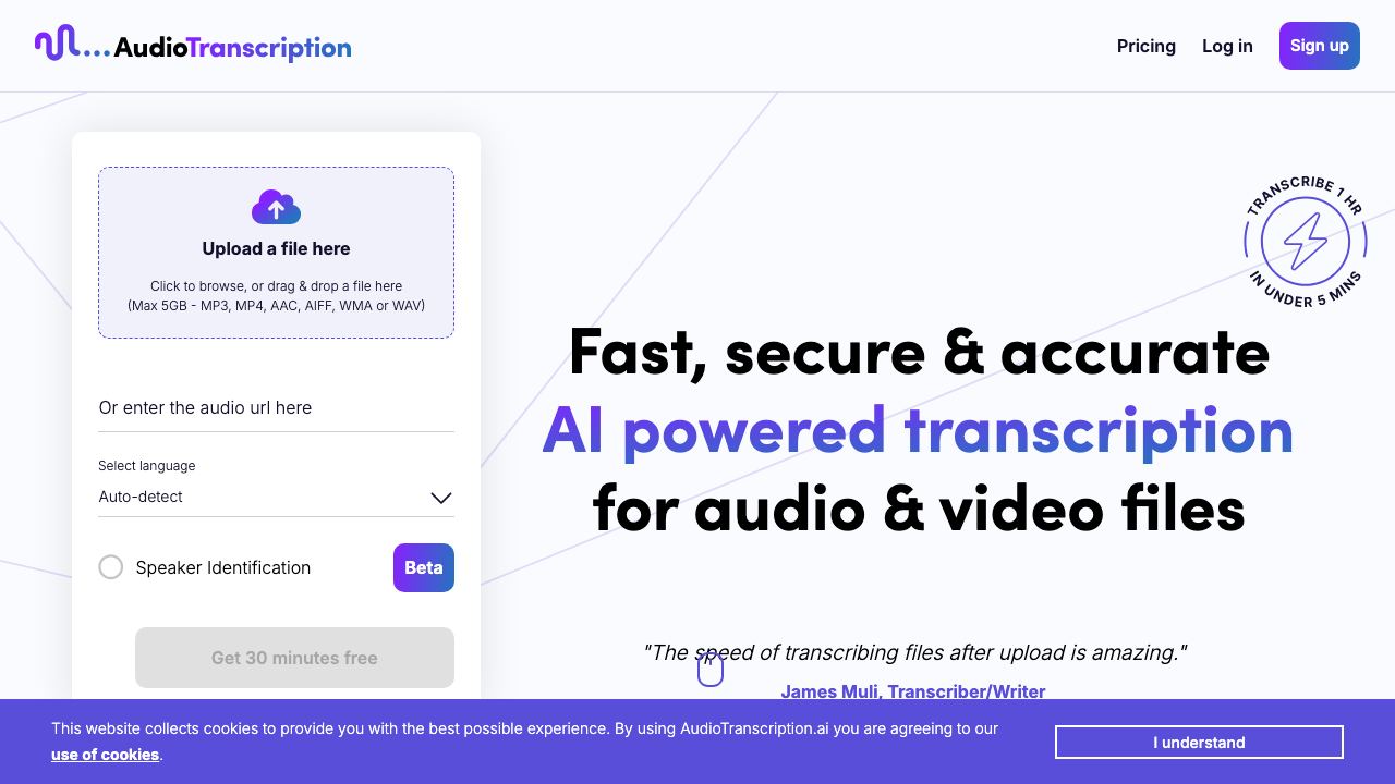 AudioTranscription website screenshot