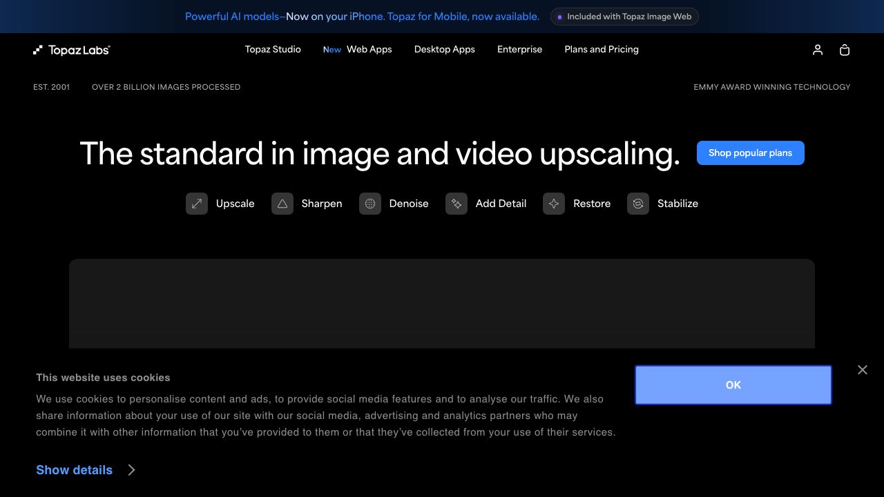 Topaz Labs 网站截图