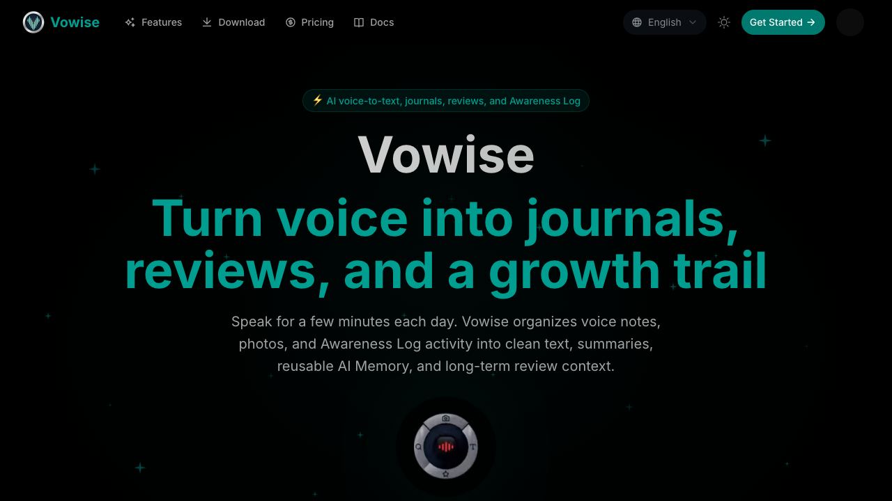 Vowise 网站截图