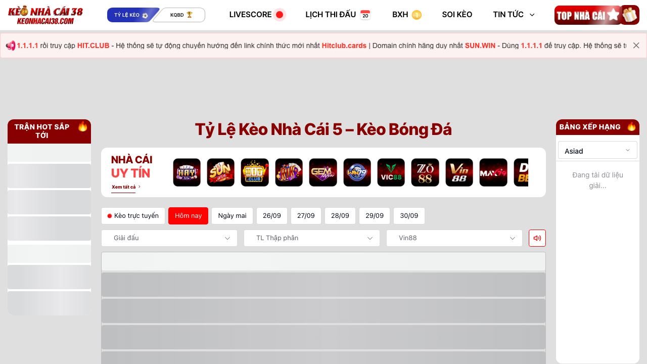 Roobin 网站截图