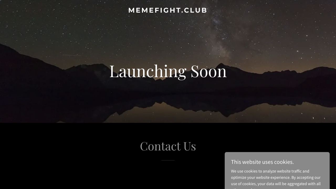 Meme Fight Club website screenshot