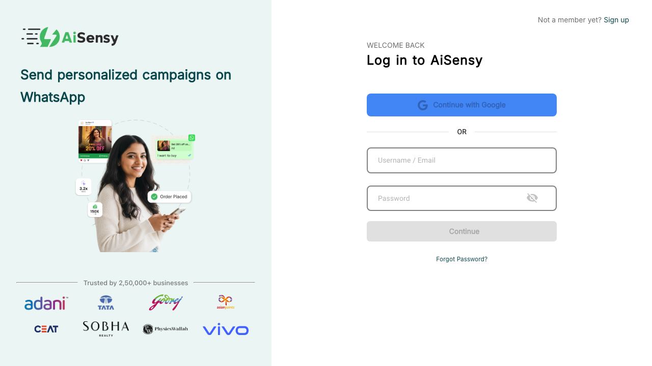AiSensy 网站截图