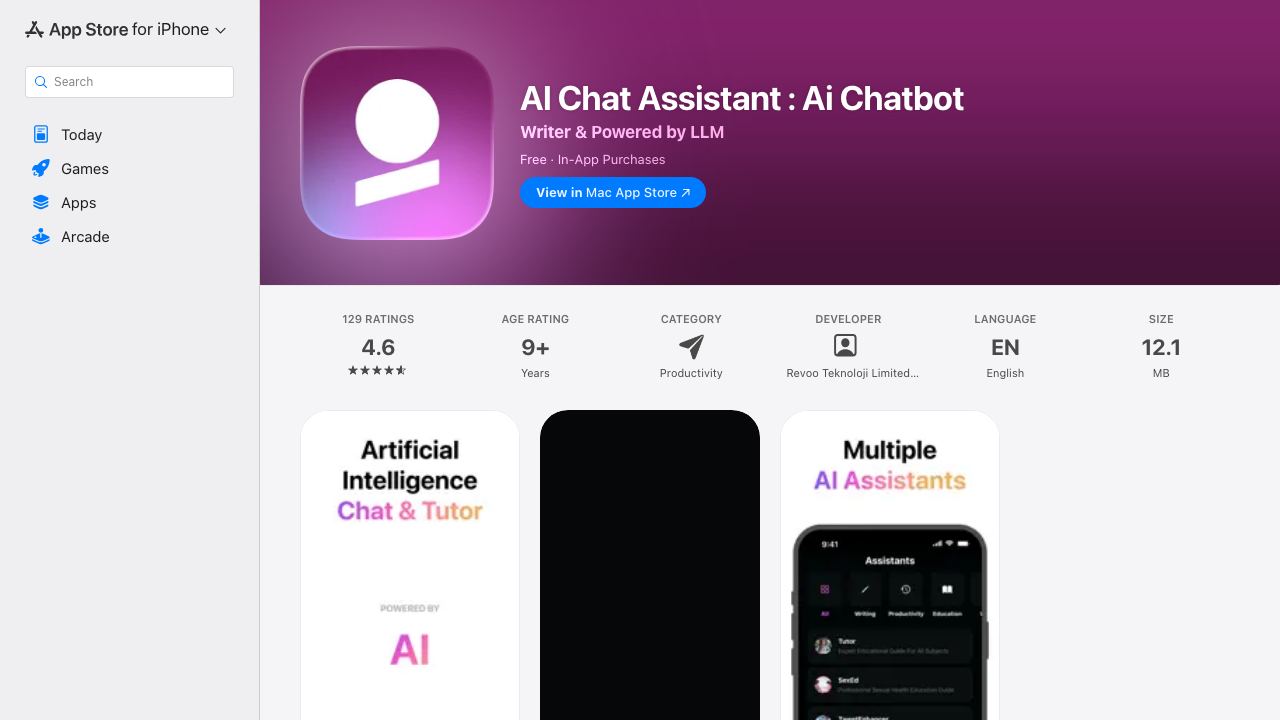 Assistant : AI Essay Writer 网站截图