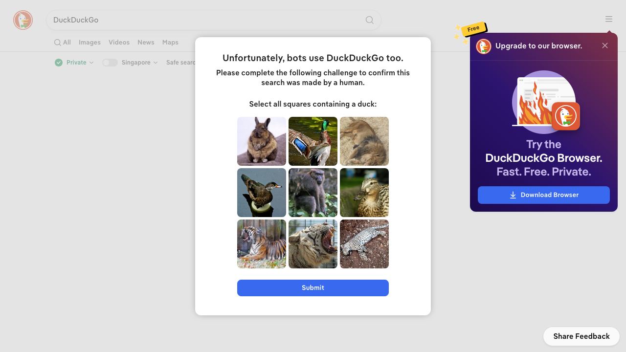 DuckDuckGo AI 网站截图
