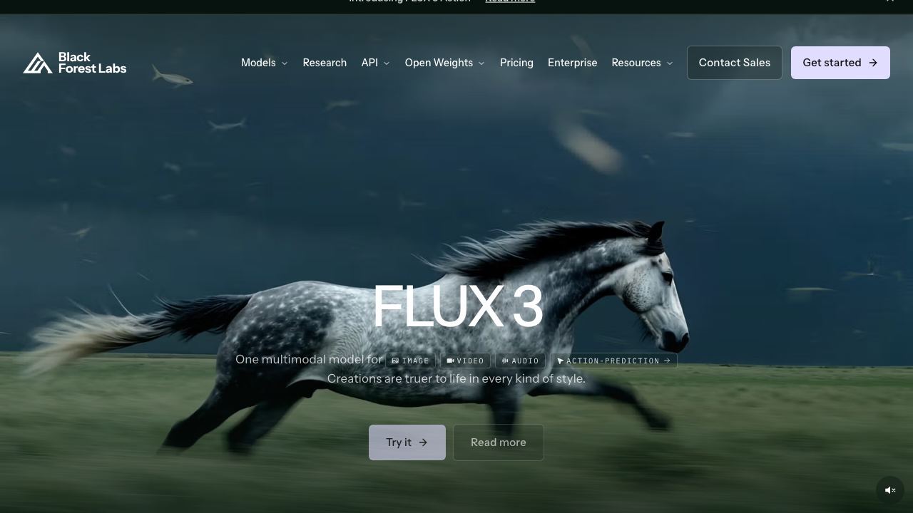 FLUX.1 网站截图