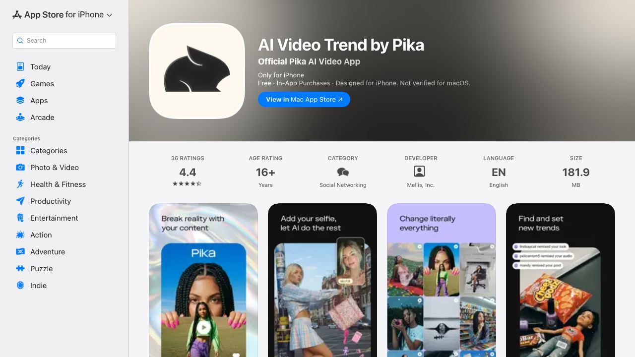 Pika - Social AI Video 网站截图
