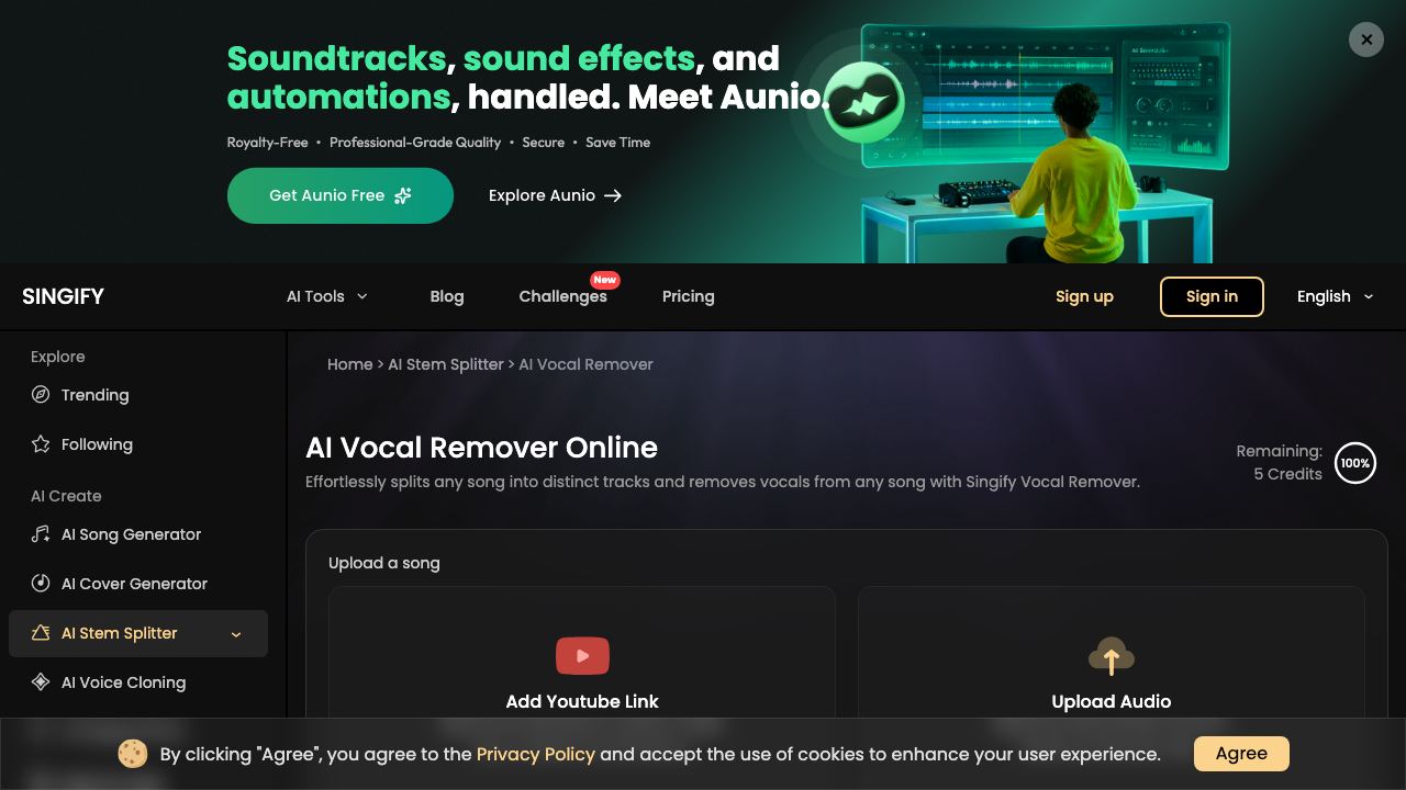 Singify Vocal Remover 网站截图
