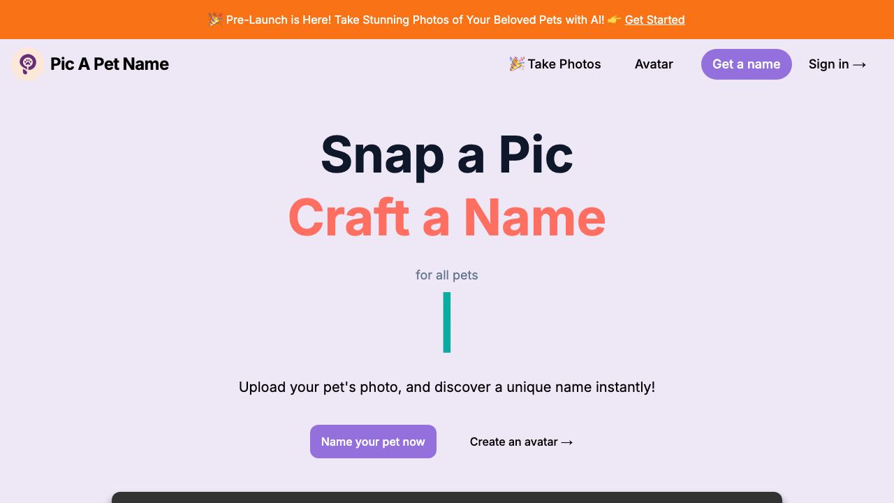 Pic A Pet Name website screenshot