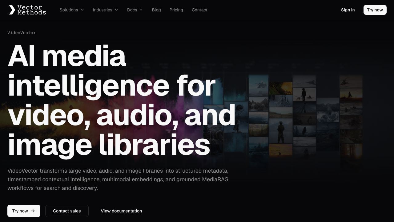 VideoVector website screenshot