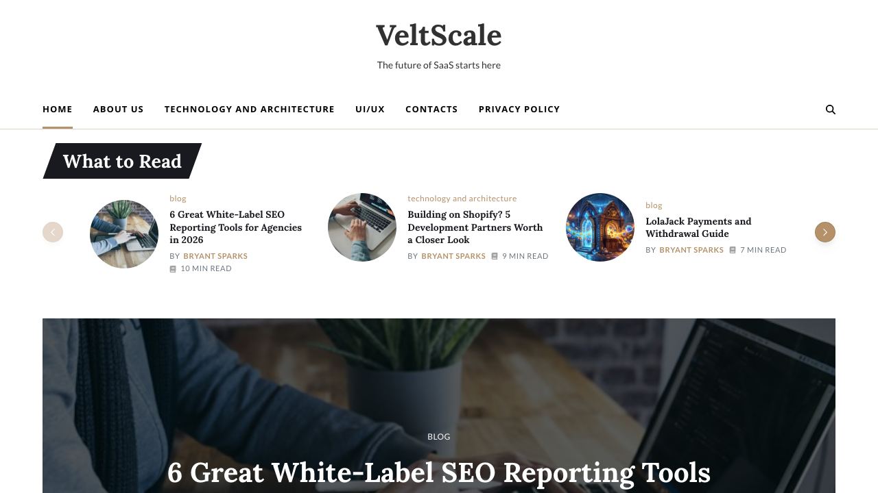 SvelteLaunch 网站截图