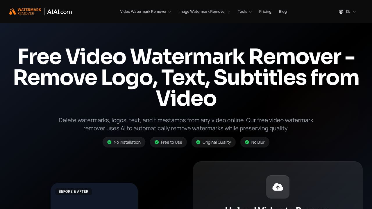 Video Watermark Remover​ 网站截图