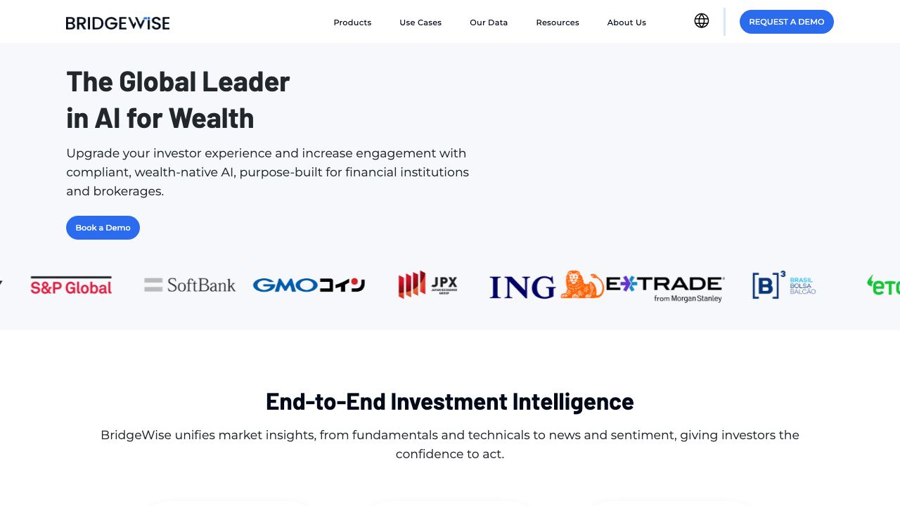 BridgeWise website screenshot