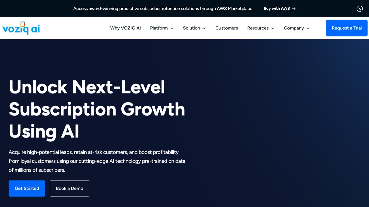 voziq.com 网站截图