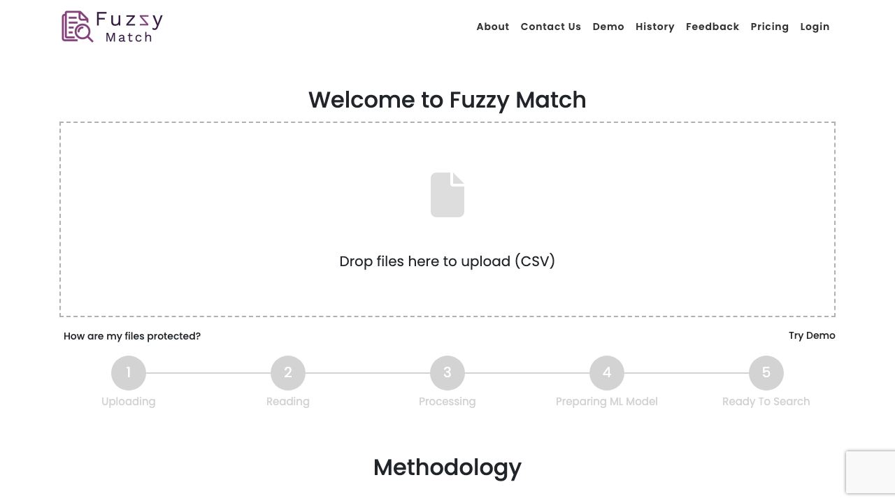 Fuzzy Match 网站截图