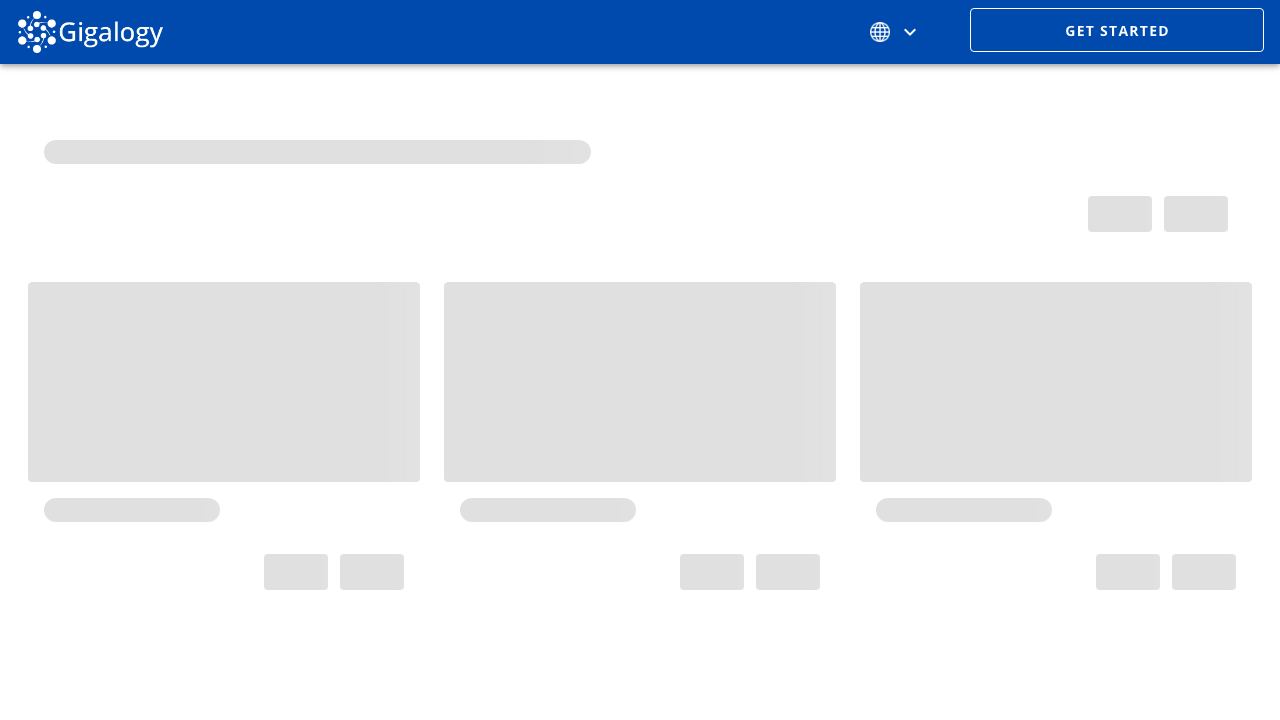Gigalogy Personalizer 网站截图