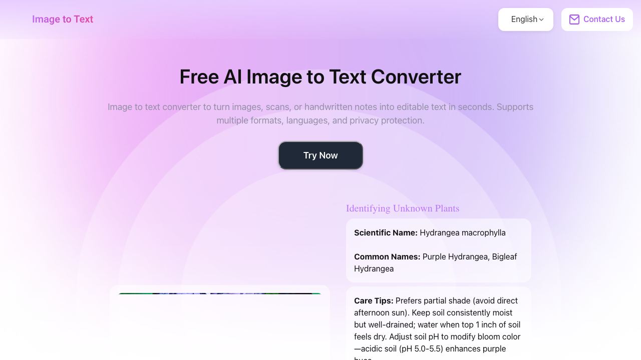 AIImagetoText 网站截图