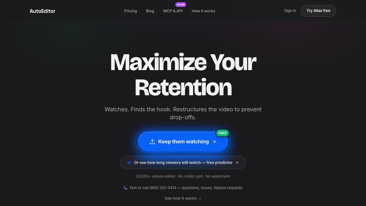 AutoEditor website screenshot