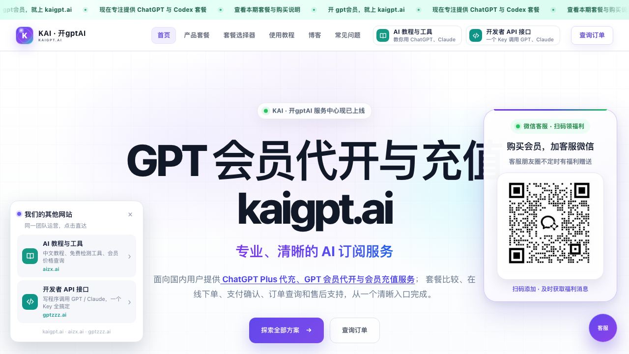 开gpt会员 网站截图