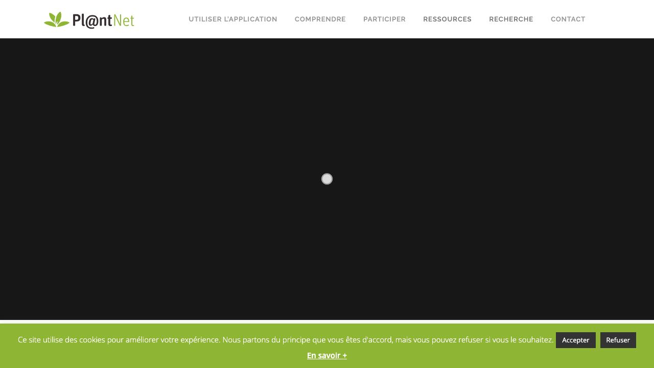 Pl@ntNet website screenshot