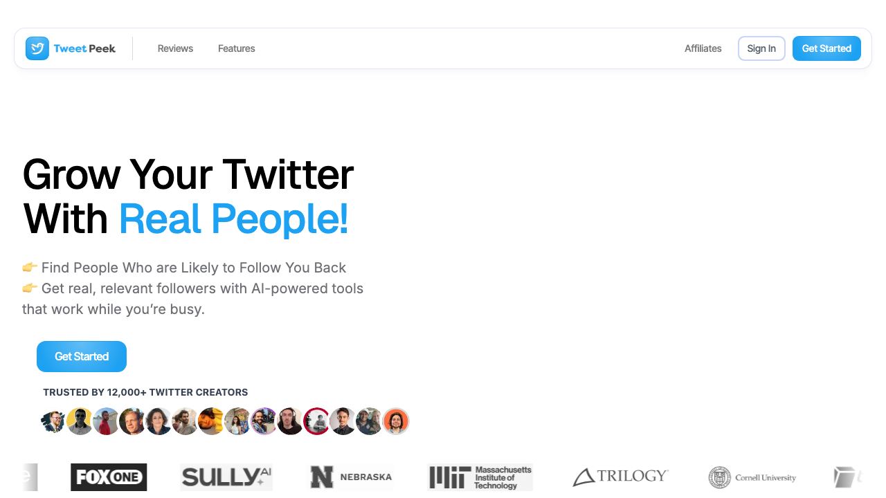 TweetPeek 网站截图
