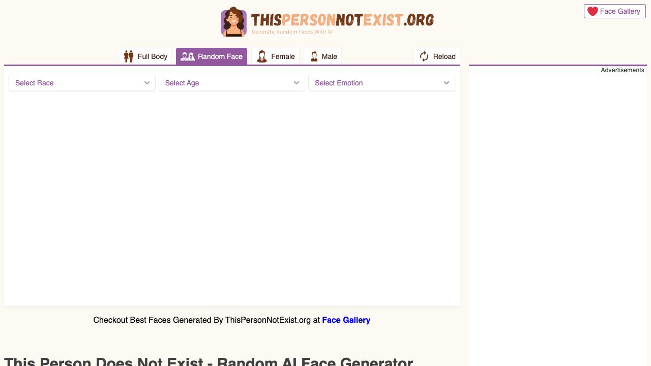 This Person Not Exist 网站截图