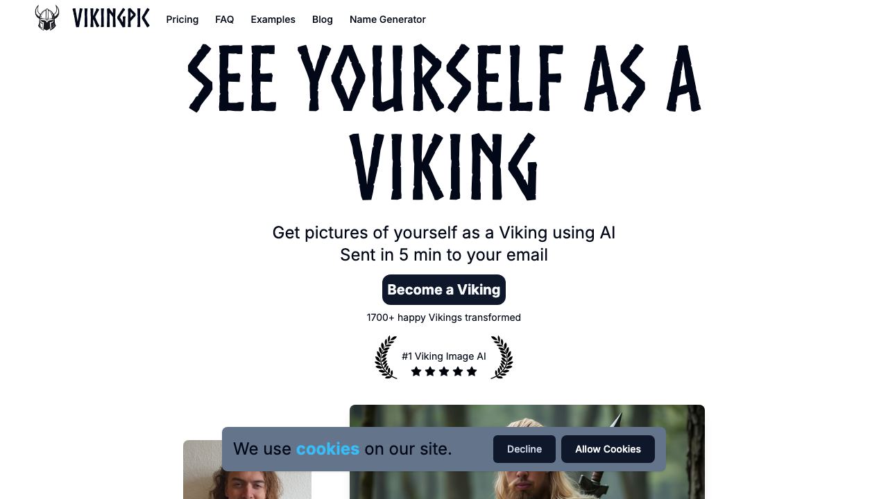 VikingPic 网站截图