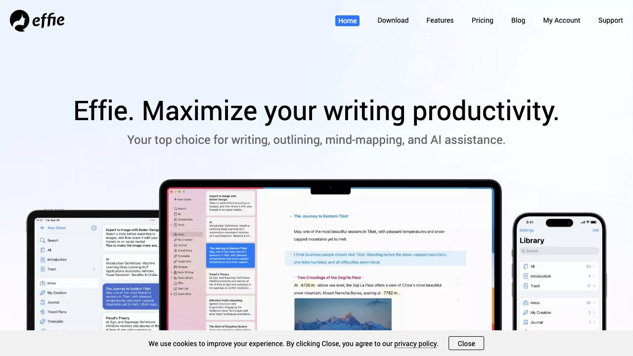 Effie website screenshot