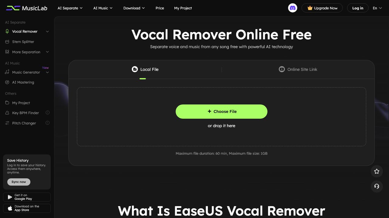 EaseUS Online Vocal Remover 网站截图