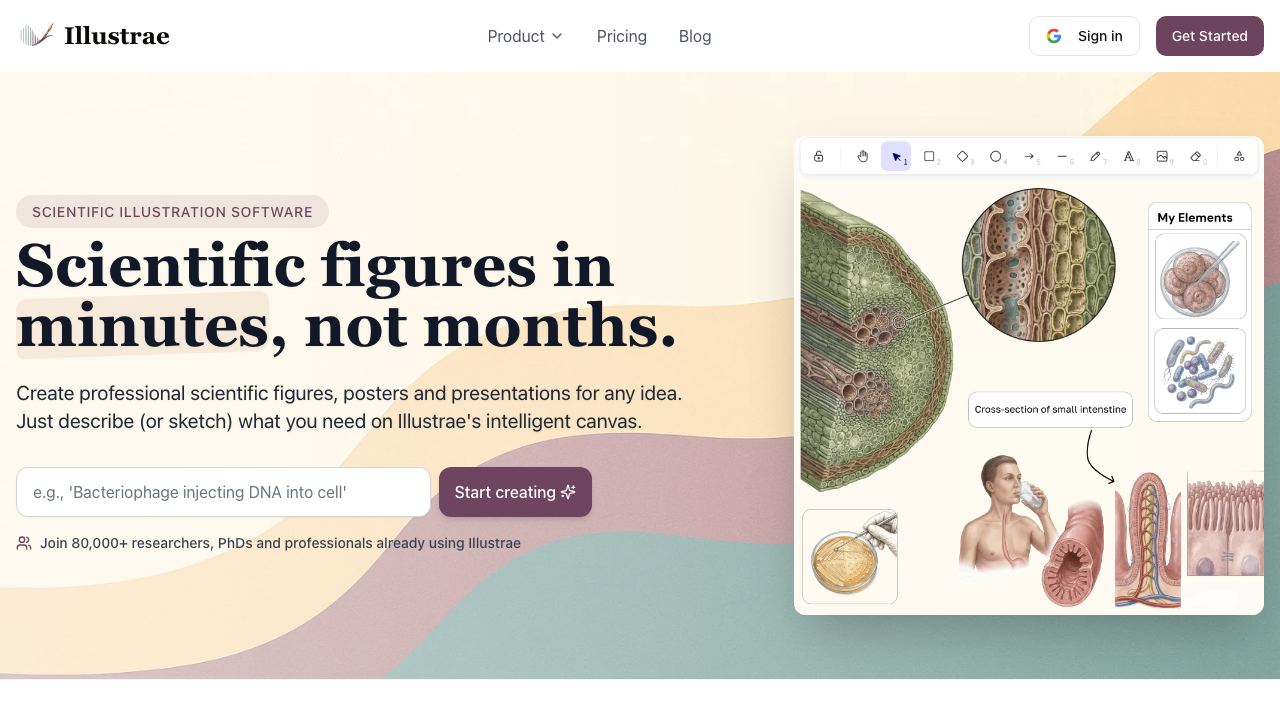 Illustrae 网站截图