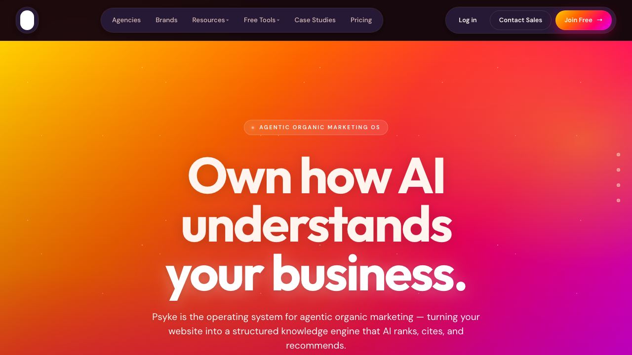 Psyke website screenshot