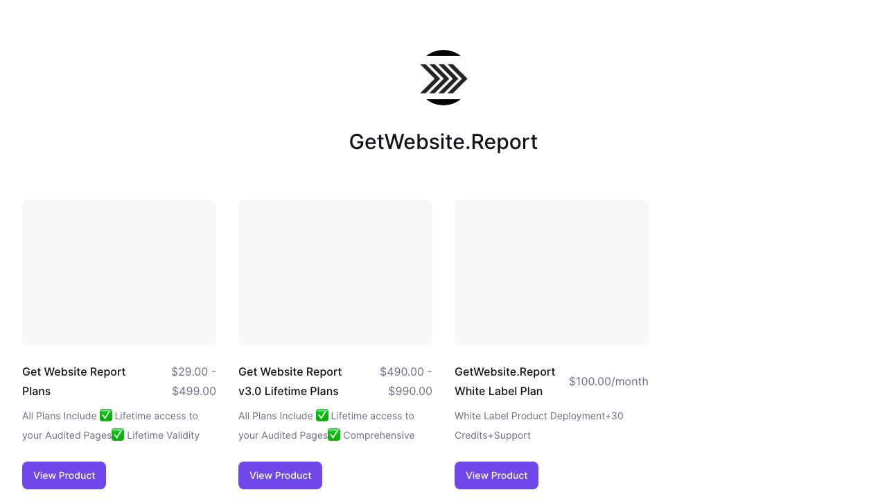 GetWebsite.Report 网站截图