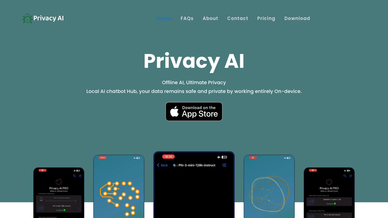 Privacy AI 网站截图