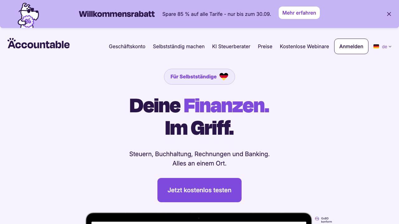 accountable.de 网站截图